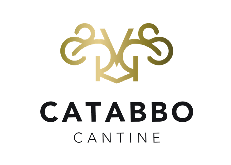 catabbo-logo-carousel-clienti-cybear